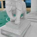 遂宁 白麻花岗岩动物异形石雕-大象