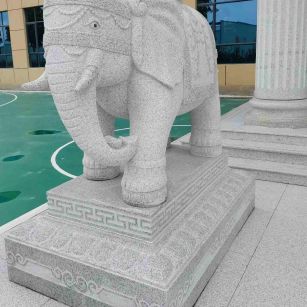 遂宁 白麻花岗岩动物异形石雕-大象
