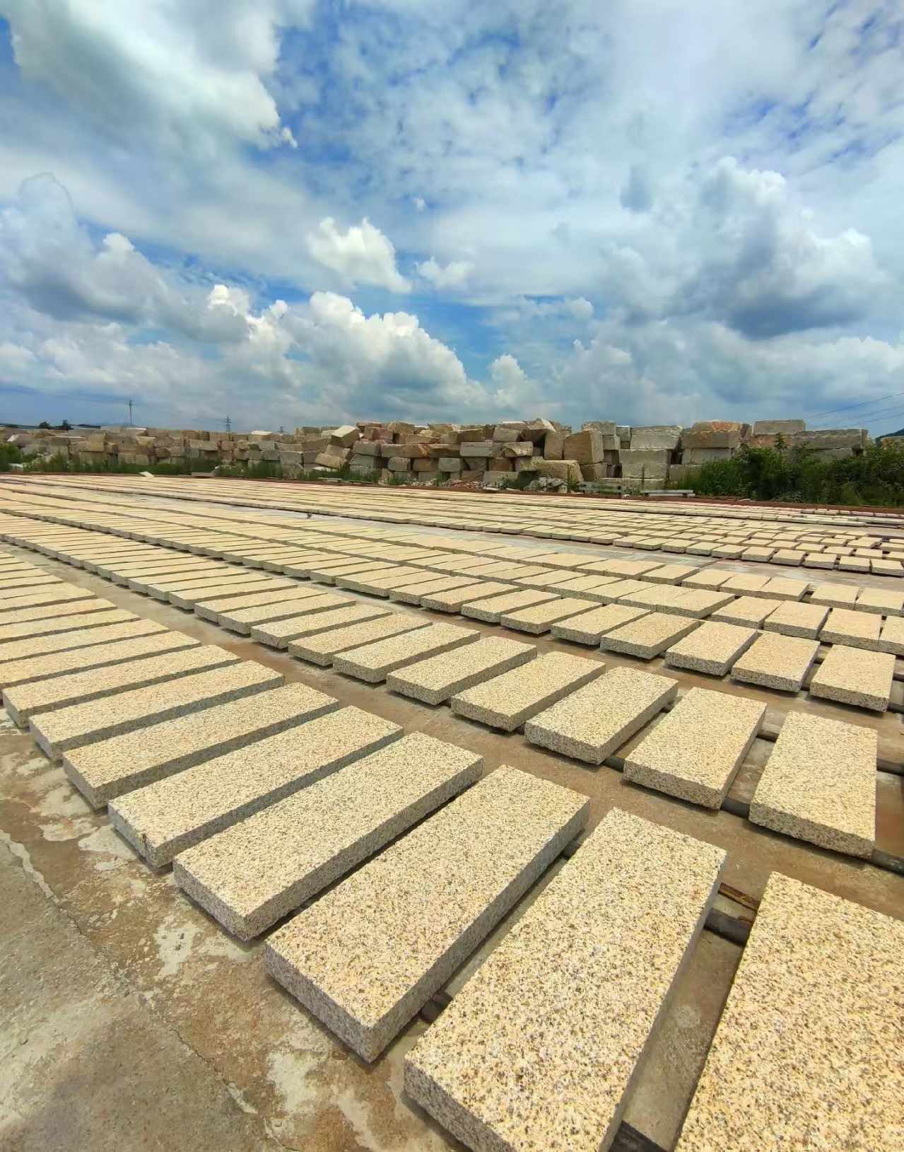 遂宁 黄金麻荔枝面花岗岩石材地铺石防护中