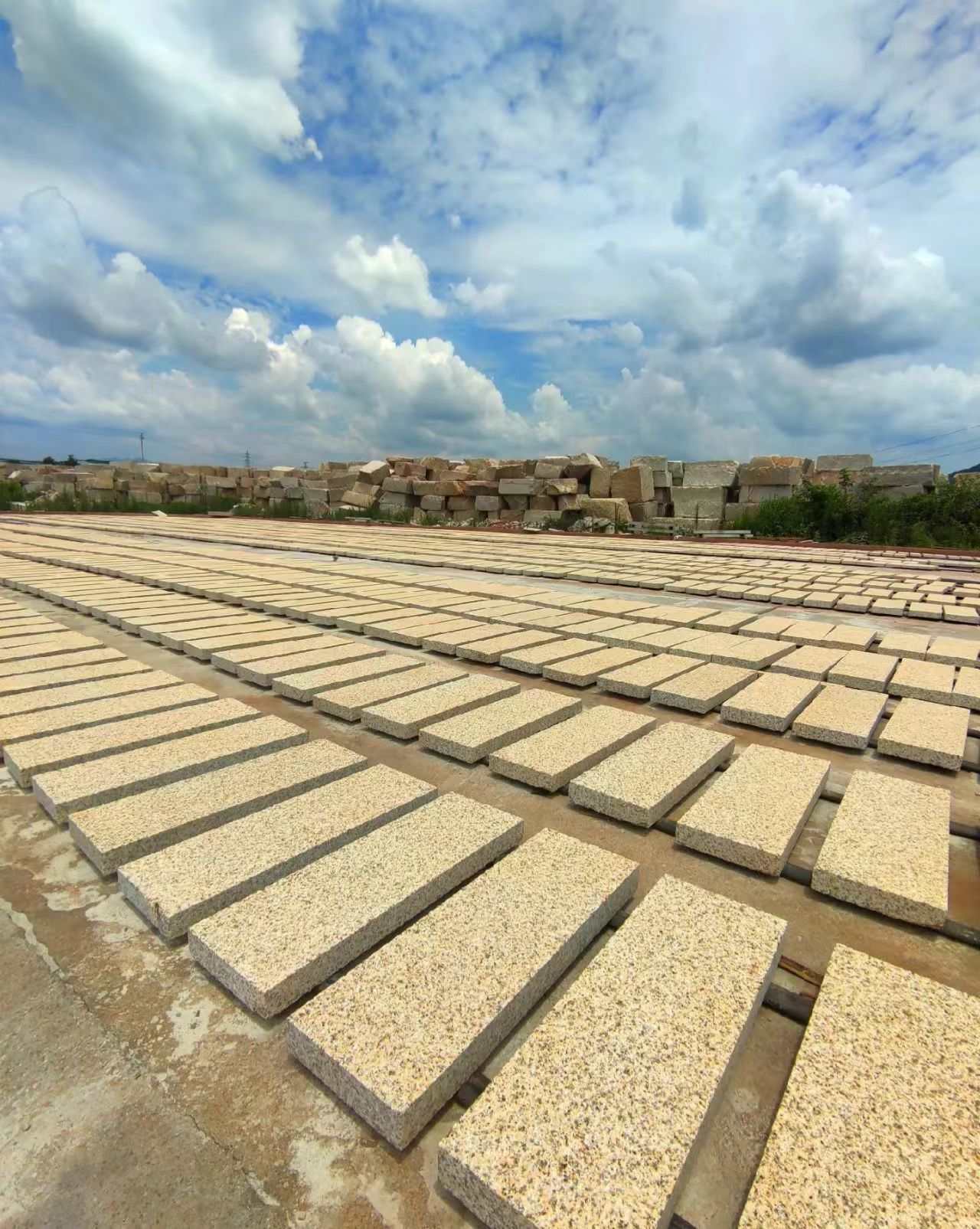 遂宁 黄金麻花岗岩荔枝面地铺石防护中