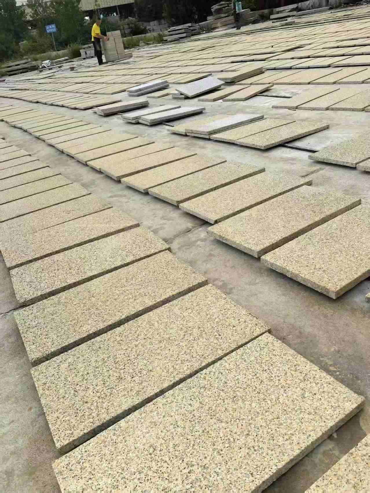 遂宁 黄金麻荔枝地铺石面排板