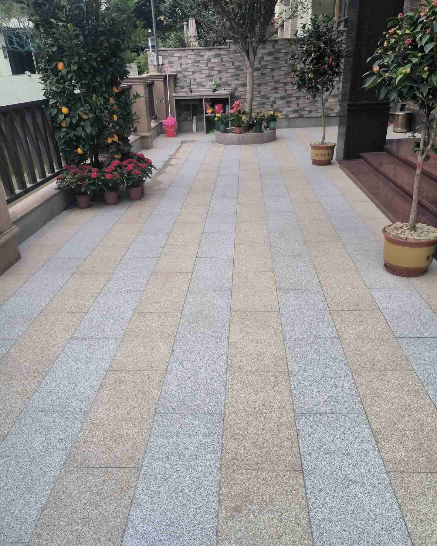 遂宁 黄金麻白麻荔枝面庭院铺装展示